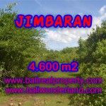 Jual tanah murah di Jimbaran Bali