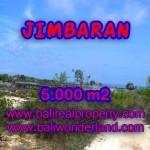 Tanah di Jimbaran dijual 50 Are Lingkungan villa di Jimbaran Pecatu